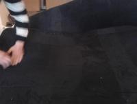 post-5928-0-70548300-1394122892_thumb.jp